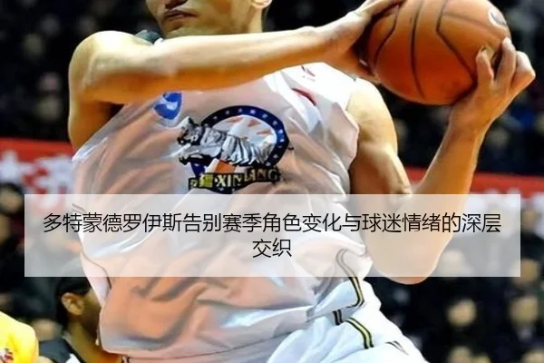 多特蒙德罗伊斯告别赛季角色变化与球迷情绪的深层交织