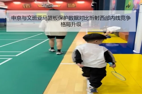 申京与文班亚马篮板保护数据对比折射西部内线竞争格局升级